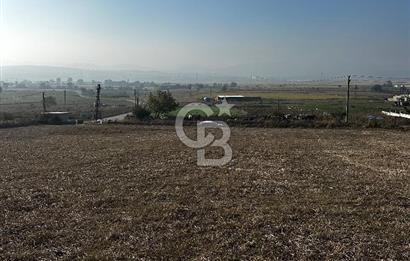 Çanakkale Biga Kanibey’de 982m2 Müstakil Tapulu Satılık Arsa