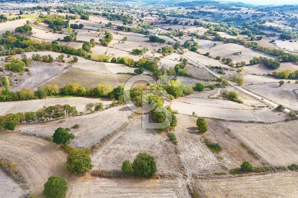 Çanakkale Çan Karadağ Köyünde 4.966 m2 Fırsat Satılık Tarla !