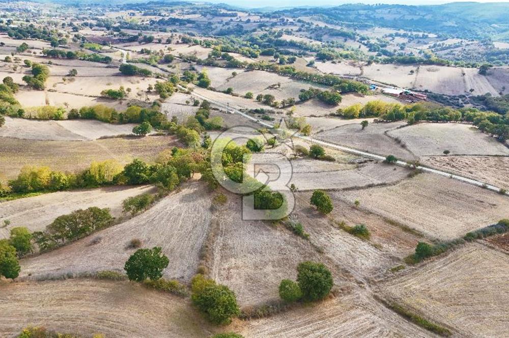 Çanakkale Çan Karadağ Köyünde 4.966 m2 Fırsat Satılık Tarla !