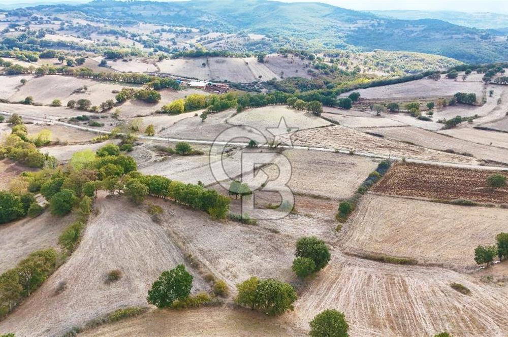 Çanakkale Çan Karadağ Köyünde 4.966 m2 Fırsat Satılık Tarla !