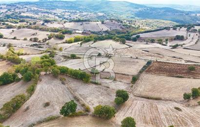 Çanakkale Çan Karadağ Köyünde 4.966 m2 Fırsat Satılık Tarla !