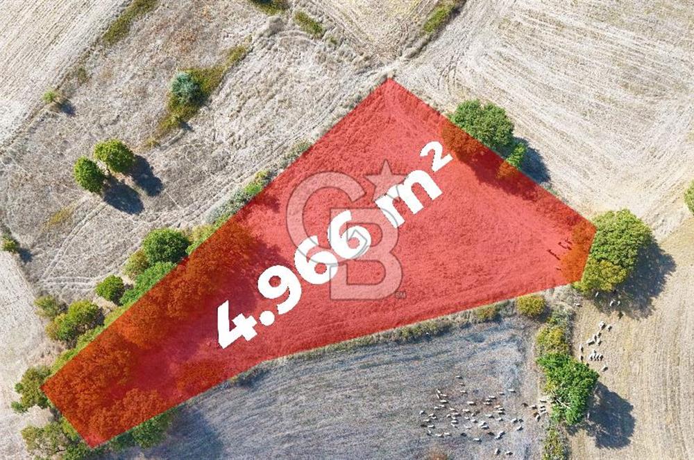 Çanakkale Çan Karadağ Köyünde 4.966 m2 Fırsat Satılık Tarla !