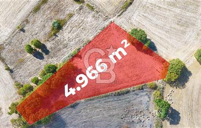 Çanakkale Çan Karadağ Köyünde 4.966 m2 Fırsat Satılık Tarla !
