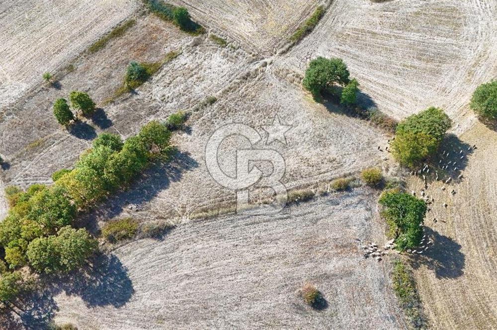 Çanakkale Çan Karadağ Köyünde 4.966 m2 Fırsat Satılık Tarla !