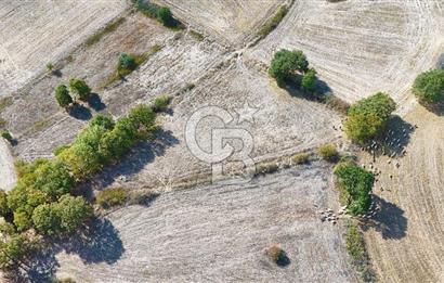 Çanakkale Çan Karadağ Köyünde 4.966 m2 Fırsat Satılık Tarla !