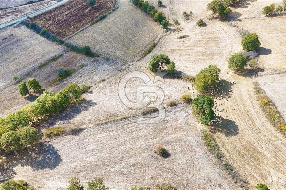 Çanakkale Çan Karadağ Köyünde 4.966 m2 Fırsat Satılık Tarla !