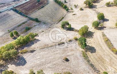 Çanakkale Çan Karadağ Köyünde 4.966 m2 Fırsat Satılık Tarla !