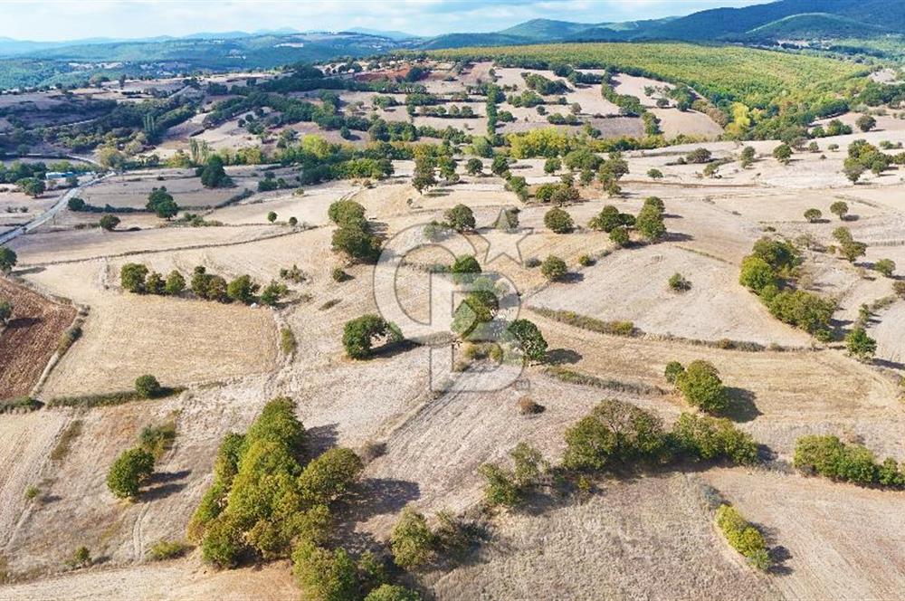 Çanakkale Çan Karadağ Köyünde 4.966 m2 Fırsat Satılık Tarla !