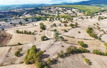Çanakkale Çan Karadağ Köyünde 4.966 m2 Fırsat Satılık Tarla !