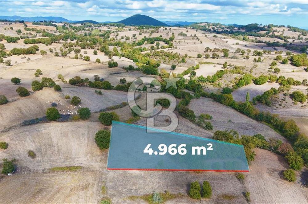 Çanakkale Çan Karadağ Köyünde 4.966 m2 Fırsat Satılık Tarla !