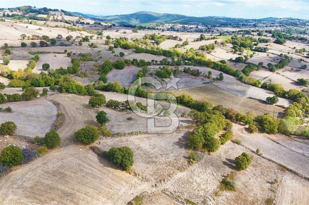 Çanakkale Çan Karadağ Köyünde 4.966 m2 Fırsat Satılık Tarla !