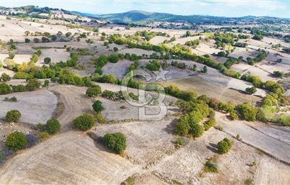 Çanakkale Çan Karadağ Köyünde 4.966 m2 Fırsat Satılık Tarla !