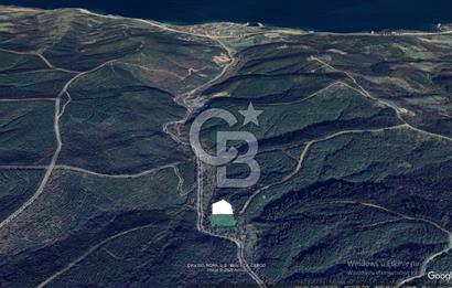LAPSEKİ ŞEVKETİYE DE SATILIK TARLA 