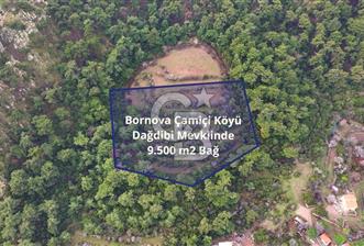 BORNOVA ÇAMİÇİ KÖYÜNDE SATILIK TARLA