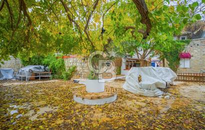 Alaçatı Çarşı İçinde Yüksek Cirolu Devir Cafe Pub CB-PH