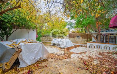 Alaçatı Çarşı İçinde Yüksek Cirolu Devir Cafe Pub CB-PH