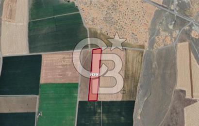 CB CITY'DEN ESKİŞEHİR TEPEBAŞI BEYAZALTIN MAHALLESİNDE 18.308 M²