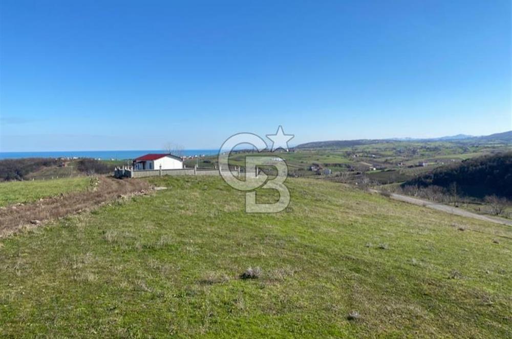 TAFLAN'DA PROJESİ HAZIR SATILIK İMARLI ARSA