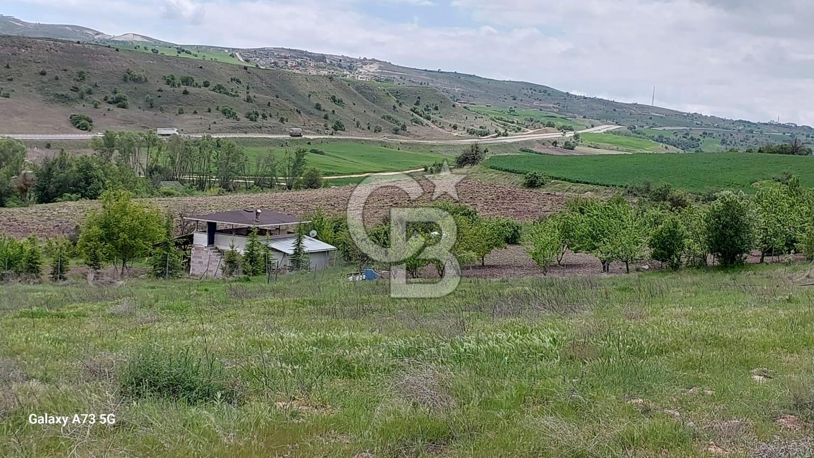 ACİL AYAŞ BAŞBERKET'DE SATILIK TARLA