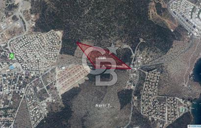 Milas Kıyıkışlacıkta Denize 700 mt Mesafede Yatırımlık Arsa CB-PH