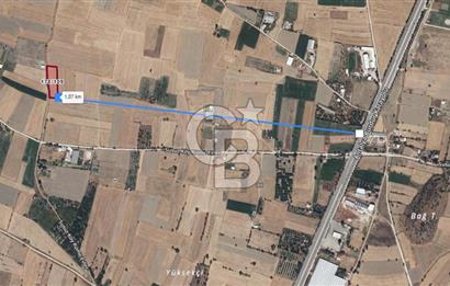BURDUR BUCAK SUSUZ DA YOLA CEPHE 3.655 M2 SATILIK TARLA
