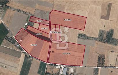 BURDUR BUCAK SUSUZ DA YOLA CEPHE 3.655 M2 SATILIK TARLA