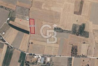 BURDUR BUCAK SUSUZ DA YOLA CEPHE 3.655 M2 SATILIK TARLA