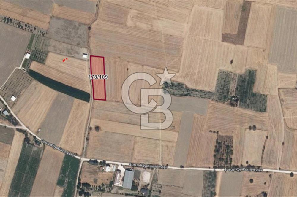 BURDUR BUCAK SUSUZ DA YOLA CEPHE 3.655 M2 SATILIK TARLA