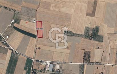 BURDUR BUCAK SUSUZ DA YOLA CEPHE 3.655 M2 SATILIK TARLA