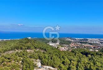 Urla Çamkoza Evlerinde Ormanın İçinde Satılık Villa