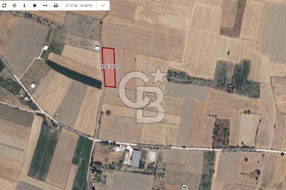BURDUR BUCAK SUSUZ DA YOLA CEPHE 3.655 M2 SATILIK TARLA