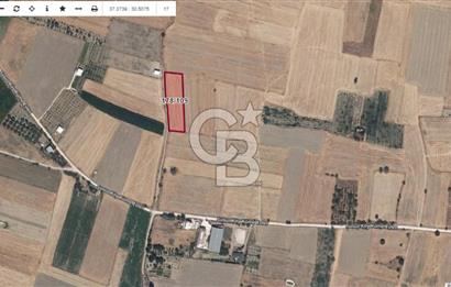 BURDUR BUCAK SUSUZ DA YOLA CEPHE 3.655 M2 SATILIK TARLA