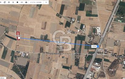 BURDUR BUCAK SUSUZ DA YOLA CEPHE 3.655 M2 SATILIK TARLA