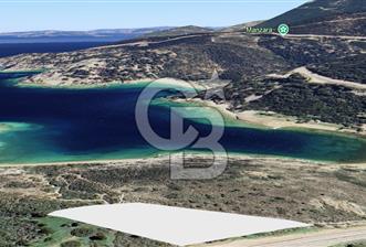 Foça-Sazlıca Plajı Yürüme Mesafesi Anayol Üzeri Yatırımlık Tarla