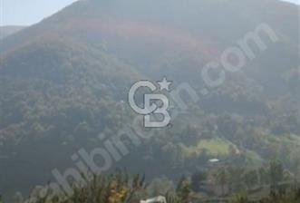 YALOVA ÇİFTLİKKÖY BURHANİYE'DE SATILIK ARAZİ