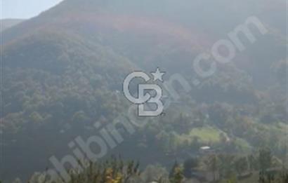 YALOVA ÇİFTLİKKÖY BURHANİYE'DE SATILIK ARAZİ