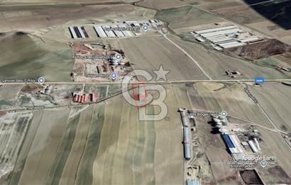Ankara Polatlı Sakarya Bölgesinde YOL CEPHELİ SATILIK ARSA