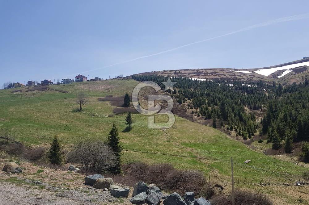 ORDU ÇAMBAŞI KAYAK MERKEZİ BİTİŞİĞİNDE SATILIK ARSA