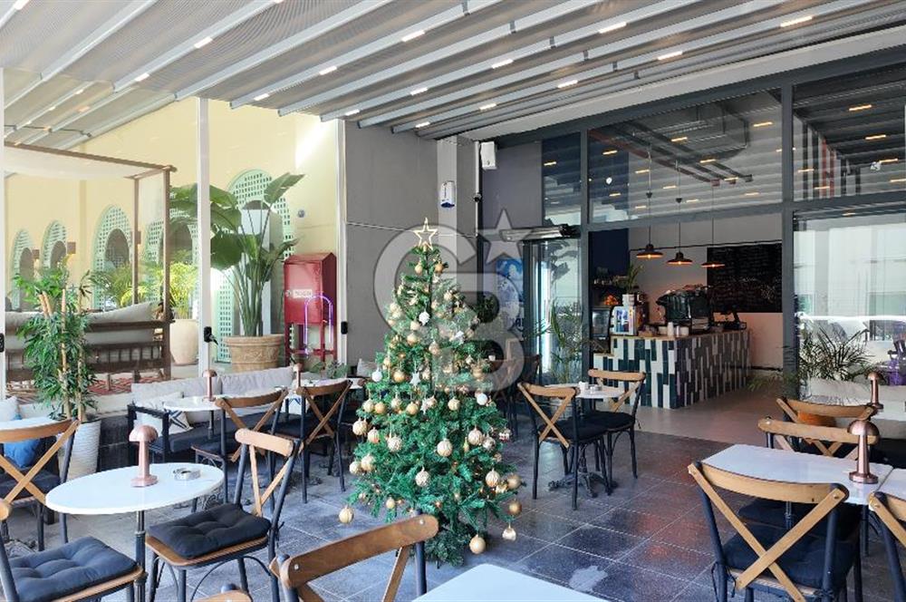 Bornova, Yaşar Üniversitesi Yakını Devren Kiralık Cafe