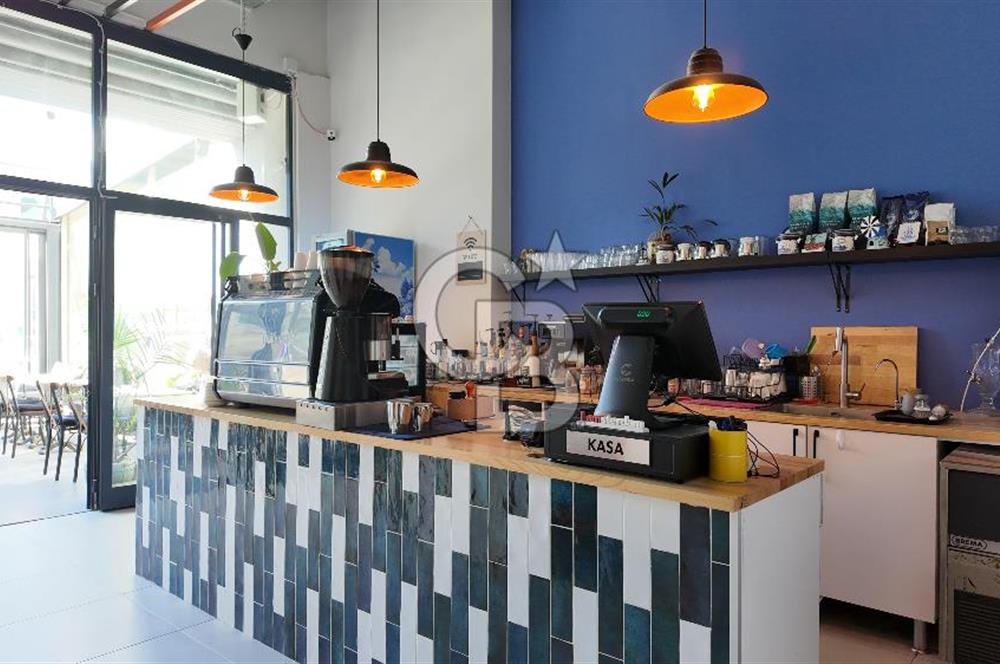 Bornova, Yaşar Üniversitesi Yakını Devren Kiralık Cafe