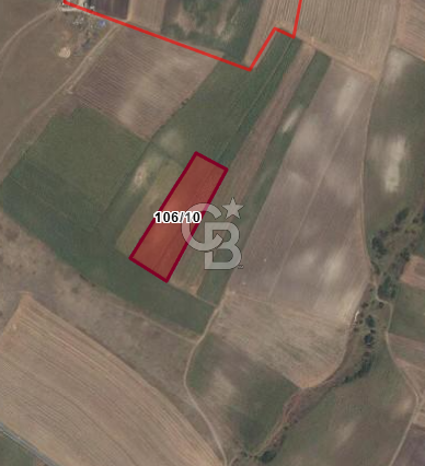 Tekirdağ Saray Sofular Köyü 292 M2 Satılık Fırsat Tarla