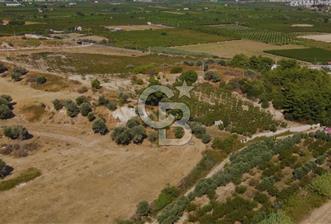 Kuşadası Davutlar' da Satılık Arsa