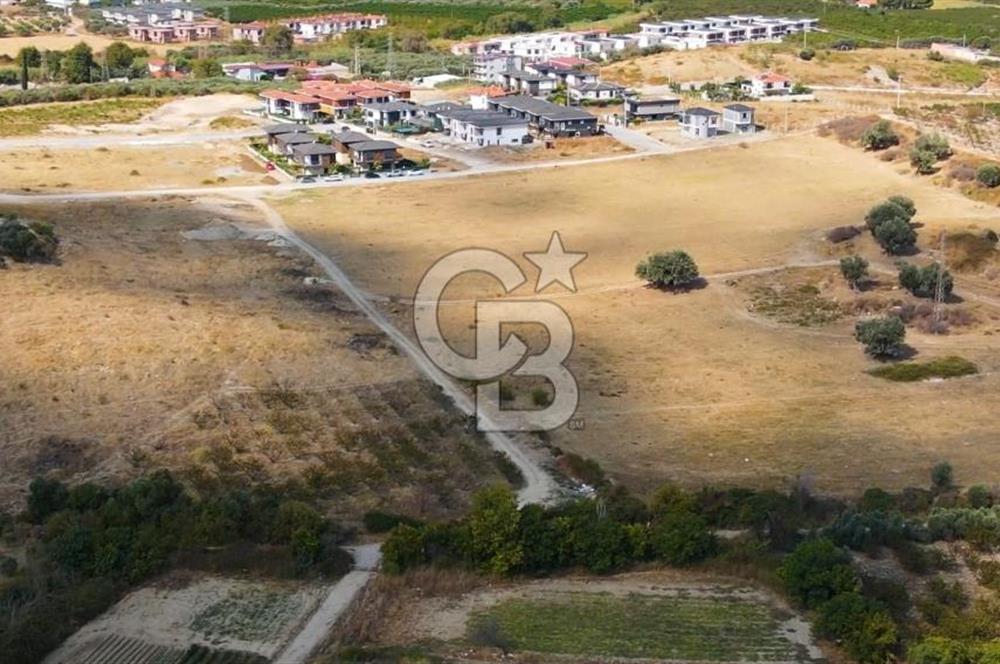 KUŞADASI DAVUTLAR SATILIK ARSA
