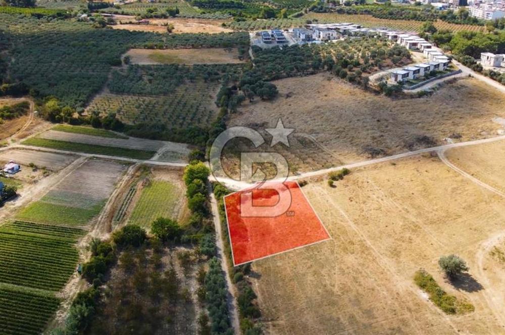 KUŞADASI DAVUTLAR SATILIK ARSA