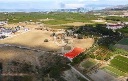 KUŞADASI DAVUTLAR SATILIK ARSA