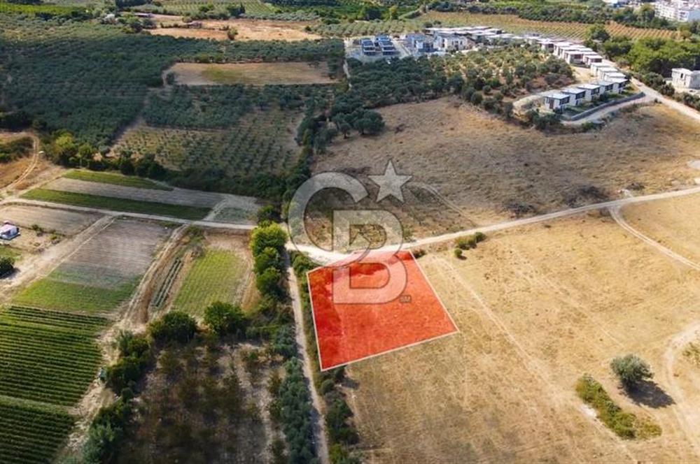 KUŞADASI DAVUTLAR SATILIK ARSA
