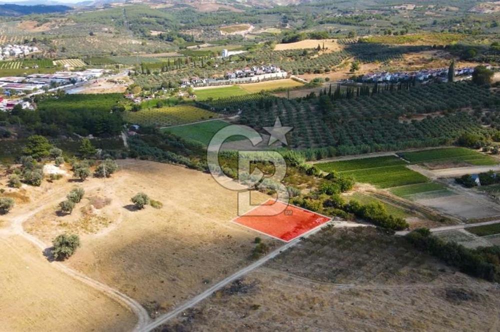 KUŞADASI DAVUTLAR SATILIK ARSA