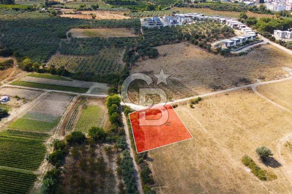 KUŞADASI DAVUTLAR SATILIK ARSA