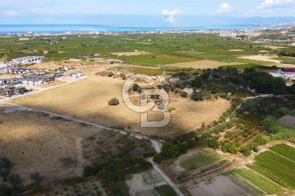 KUŞADASI DAVUTLAR SATILIK ARSA