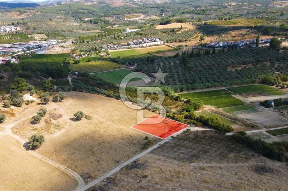 KUŞADASI DAVUTLAR SATILIK ARSA